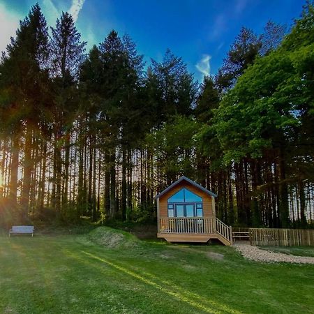 Cabin In The Woods - 1 Bedroom Lodge - Kilgetty Stepaside  Dış mekan fotoğraf