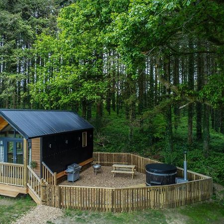 Cabin In The Woods - 1 Bedroom Lodge - Kilgetty Stepaside  Dış mekan fotoğraf