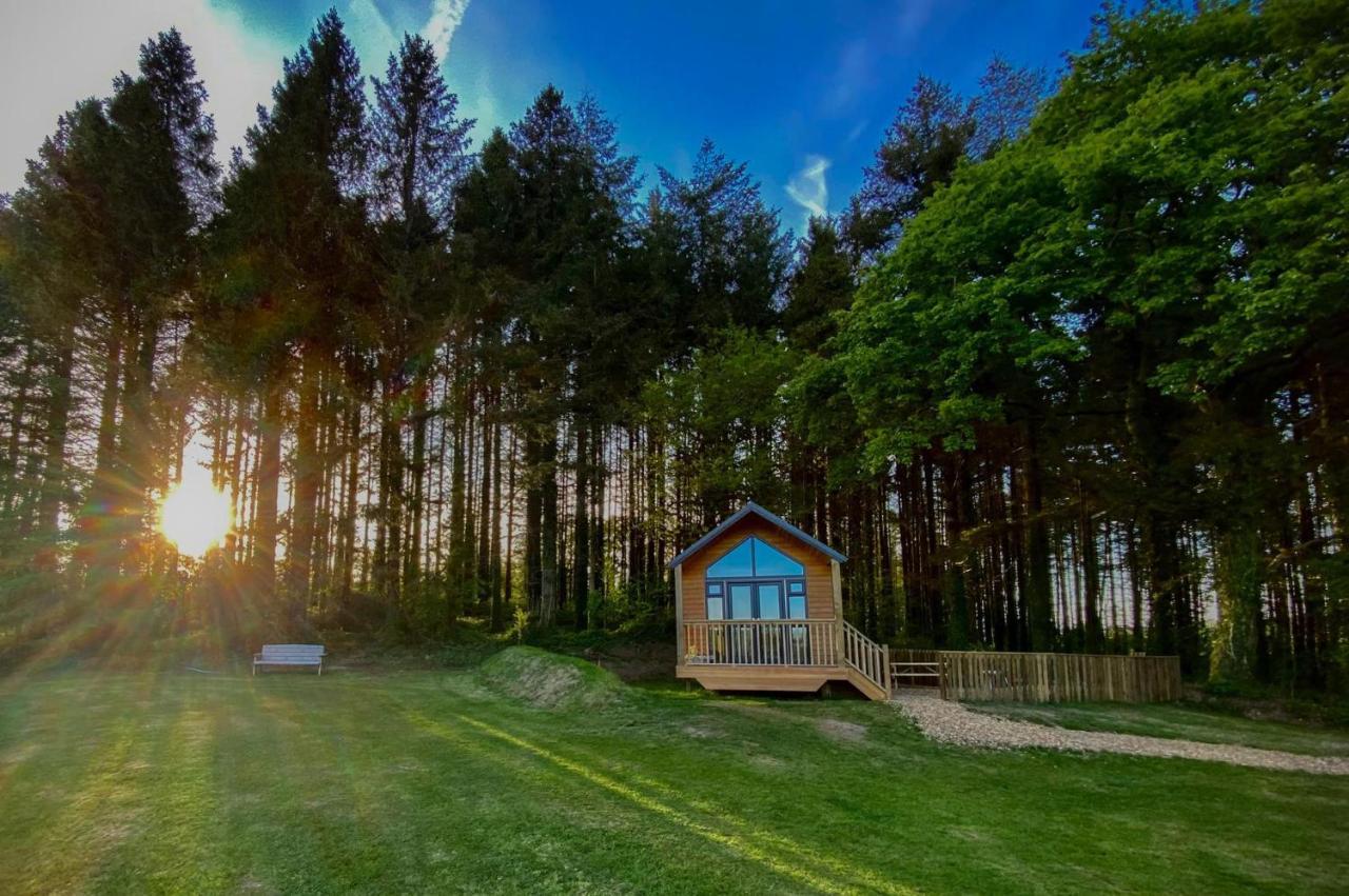 Cabin In The Woods - 1 Bedroom Lodge - Kilgetty Stepaside  Dış mekan fotoğraf