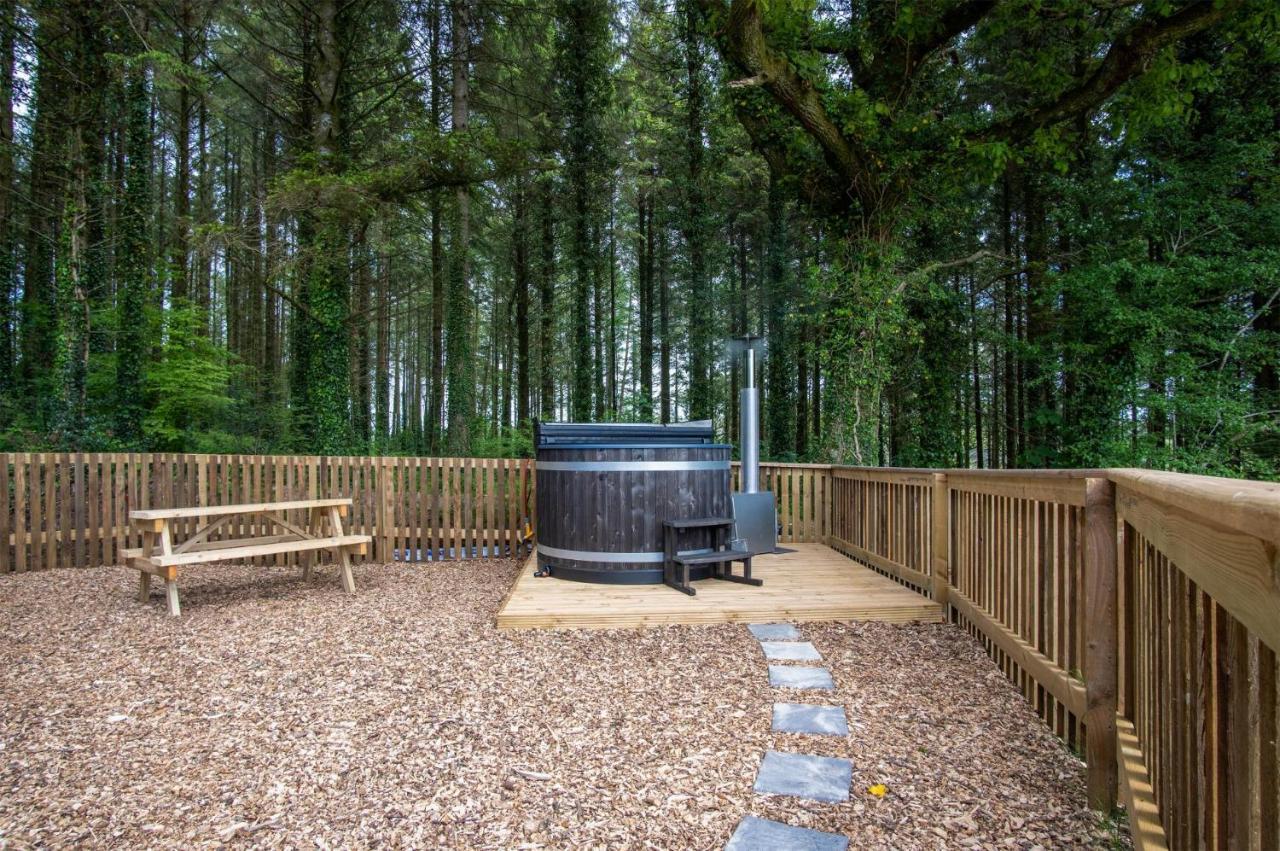 Cabin In The Woods - 1 Bedroom Lodge - Kilgetty Stepaside  Dış mekan fotoğraf