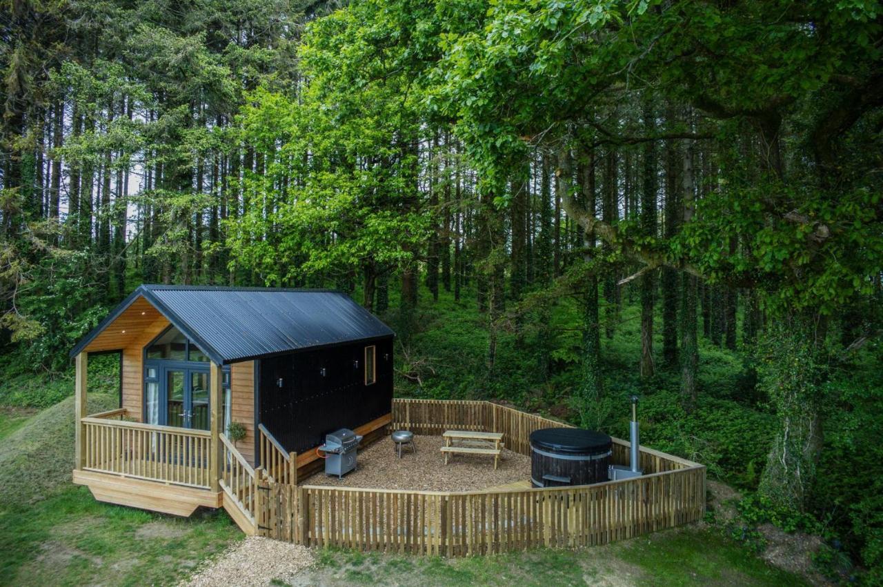 Cabin In The Woods - 1 Bedroom Lodge - Kilgetty Stepaside  Dış mekan fotoğraf