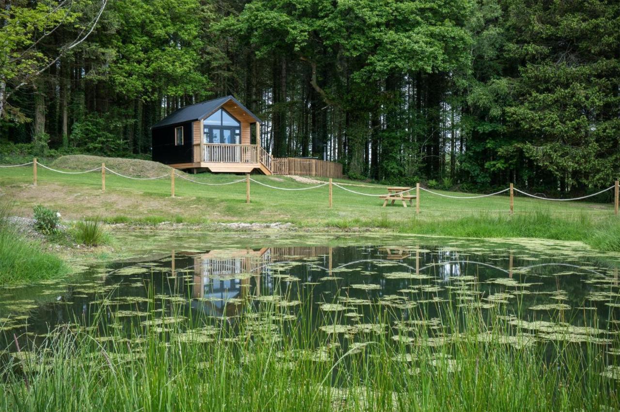 Cabin In The Woods - 1 Bedroom Lodge - Kilgetty Stepaside  Dış mekan fotoğraf