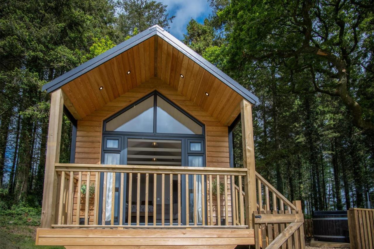 Cabin In The Woods - 1 Bedroom Lodge - Kilgetty Stepaside  Dış mekan fotoğraf