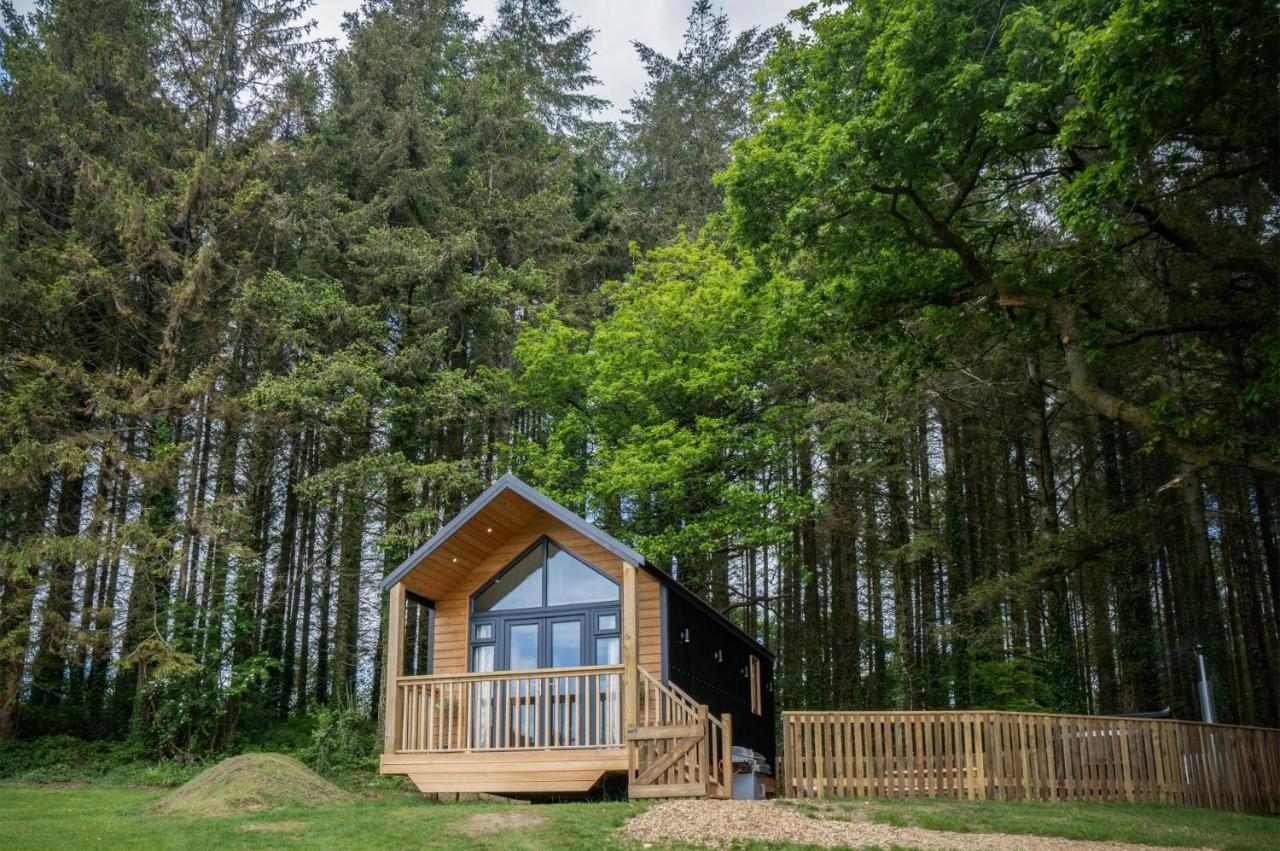 Cabin In The Woods - 1 Bedroom Lodge - Kilgetty Stepaside  Dış mekan fotoğraf