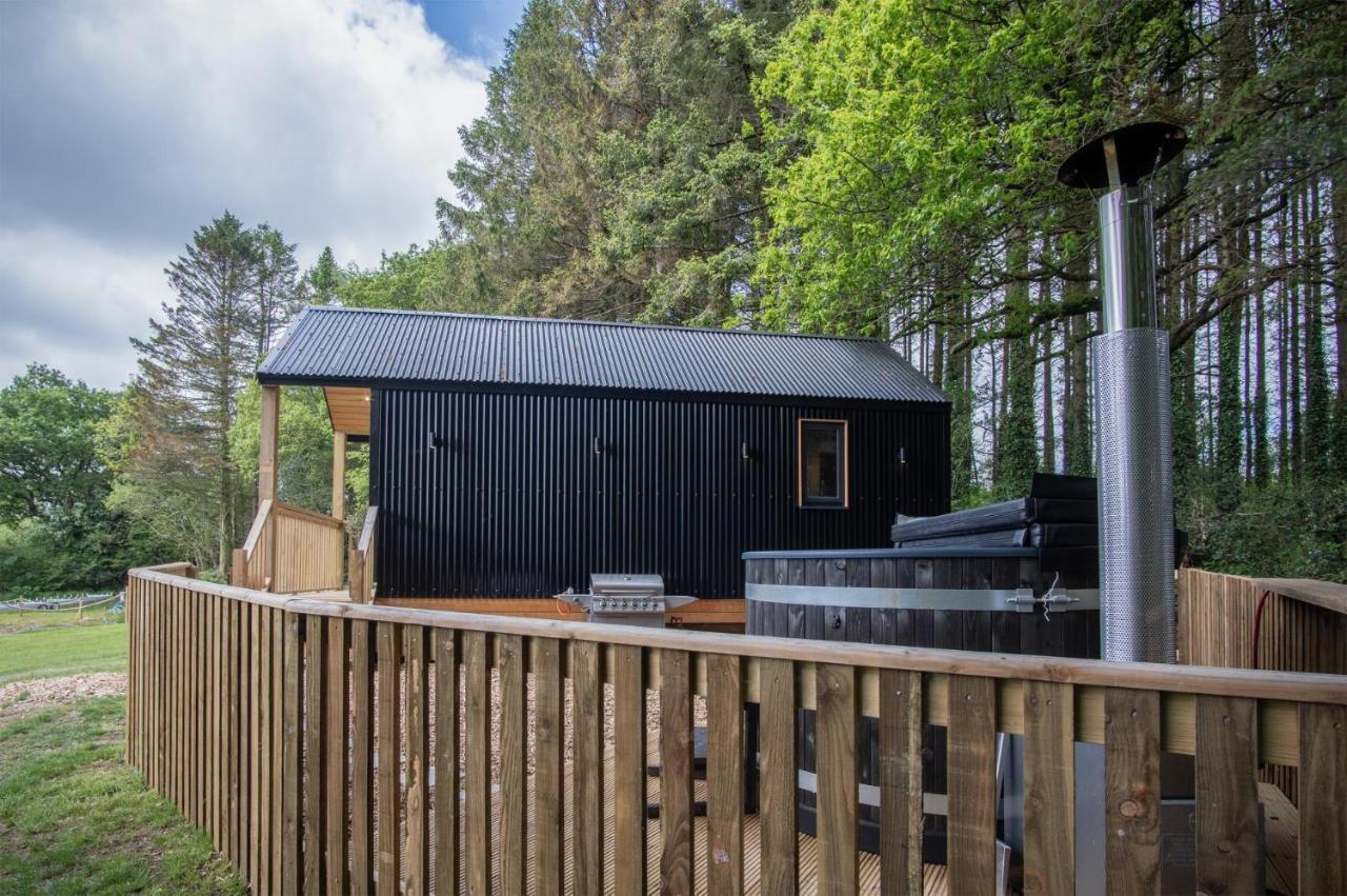 Cabin In The Woods - 1 Bedroom Lodge - Kilgetty Stepaside  Dış mekan fotoğraf