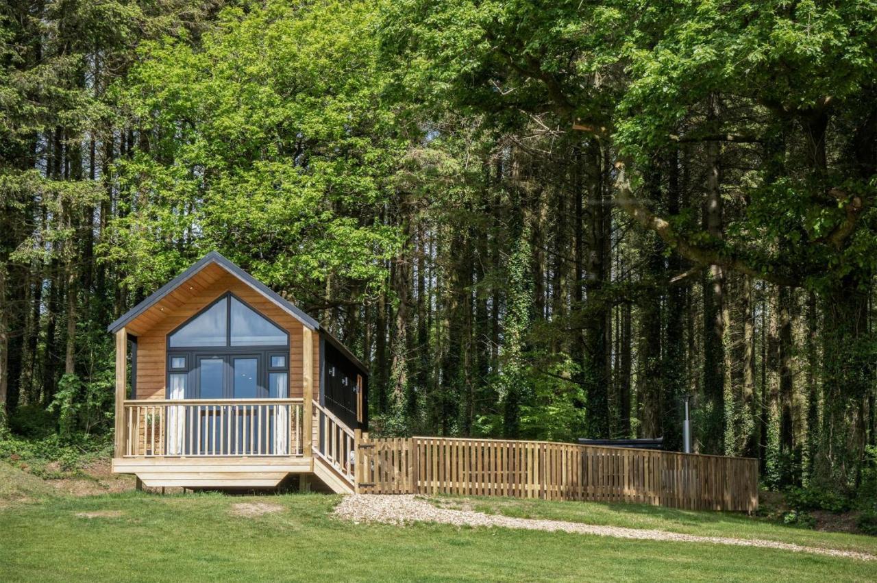Cabin In The Woods - 1 Bedroom Lodge - Kilgetty Stepaside  Dış mekan fotoğraf