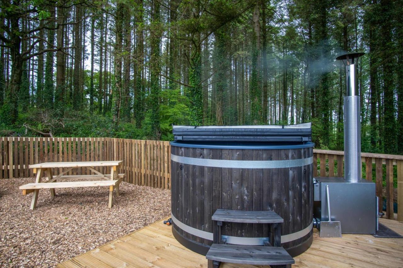 Cabin In The Woods - 1 Bedroom Lodge - Kilgetty Stepaside  Dış mekan fotoğraf