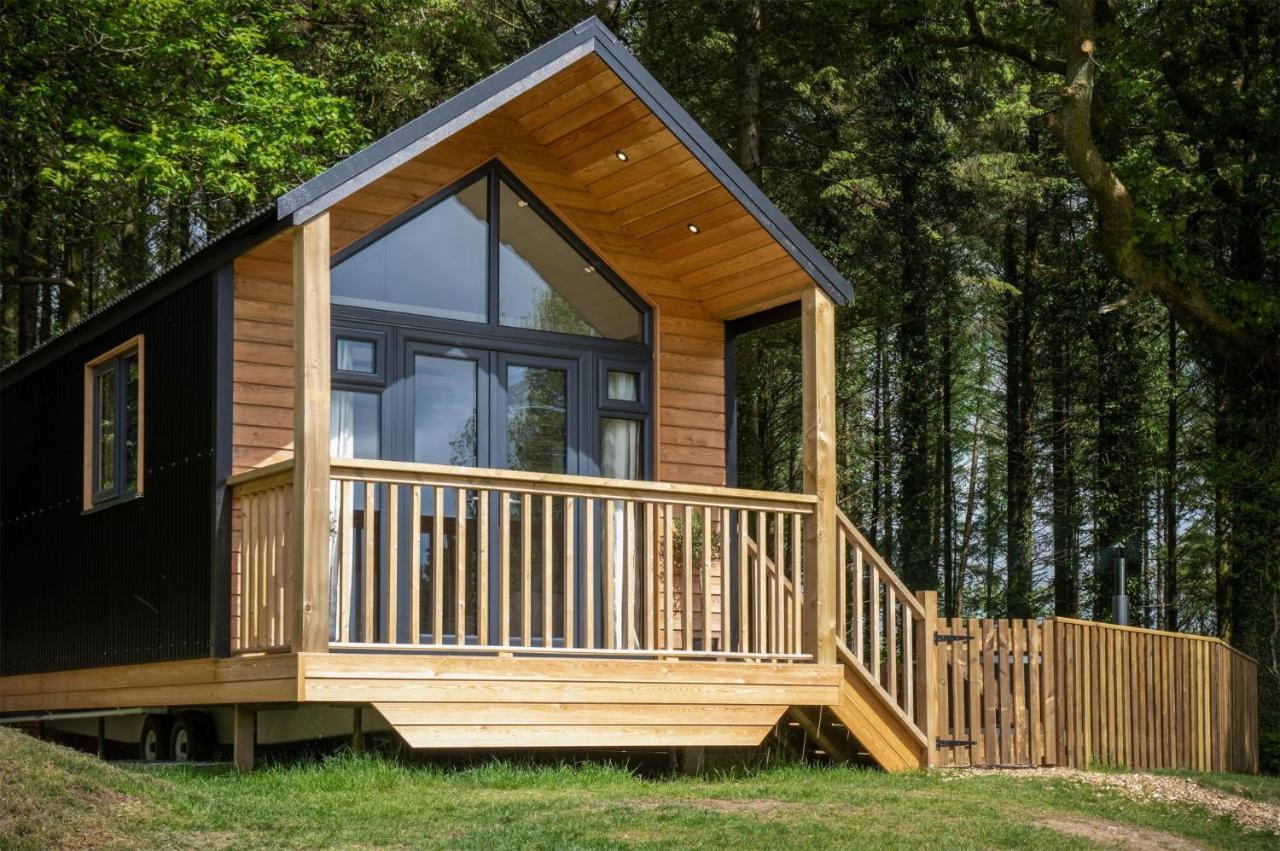 Cabin In The Woods - 1 Bedroom Lodge - Kilgetty Stepaside  Dış mekan fotoğraf