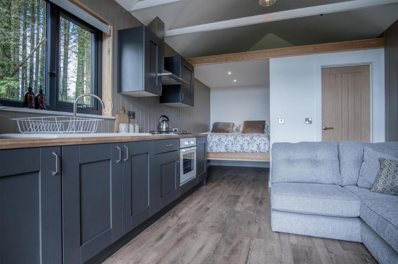 Cabin In The Woods - 1 Bedroom Lodge - Kilgetty Stepaside  Dış mekan fotoğraf