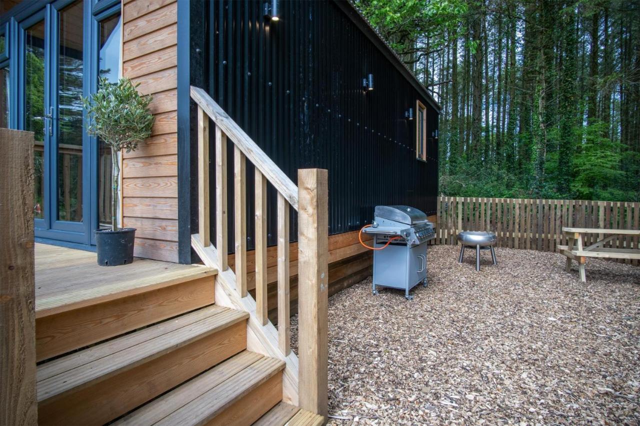 Cabin In The Woods - 1 Bedroom Lodge - Kilgetty Stepaside  Dış mekan fotoğraf