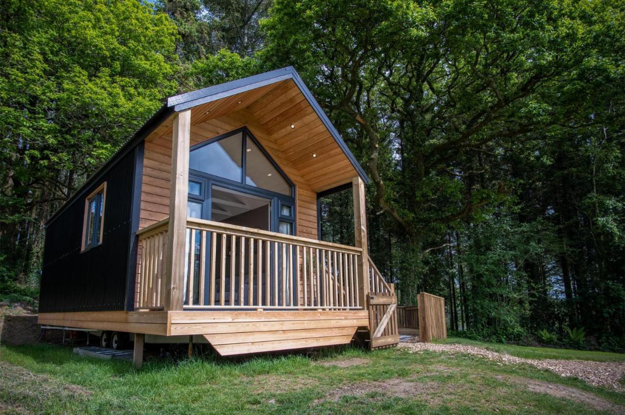 Cabin In The Woods - 1 Bedroom Lodge - Kilgetty Stepaside  Dış mekan fotoğraf
